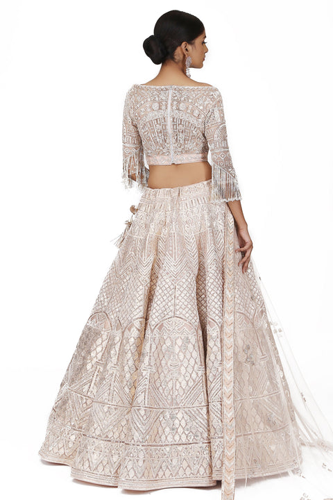 Blush pink Embroidered Lehenga Set. freeshipping - Frontier Bazarr