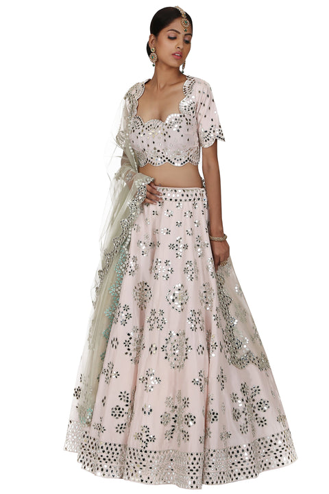 Tint pink colour lehenga freeshipping - Frontier Bazarr